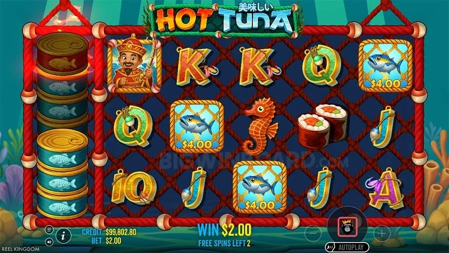 spinplus Live Betting Interface